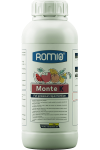 monte-k