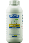 monte-neg