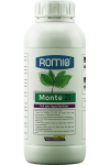 monte-zi