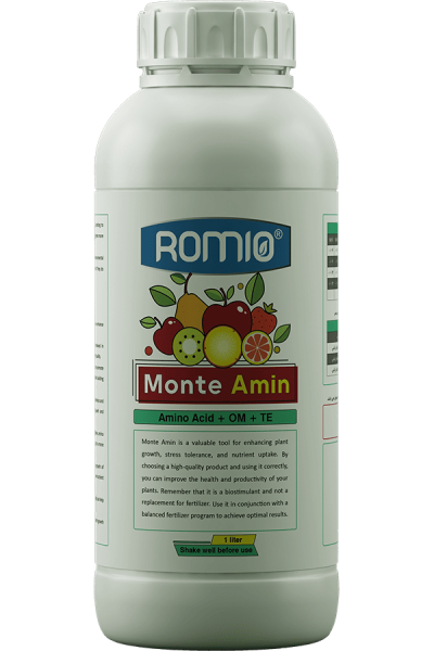 monte-amin