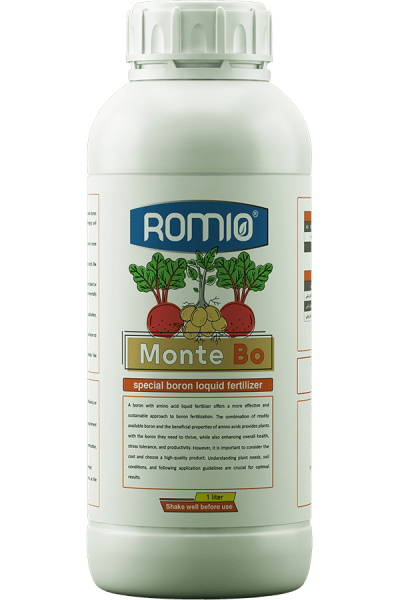 monte-bo2