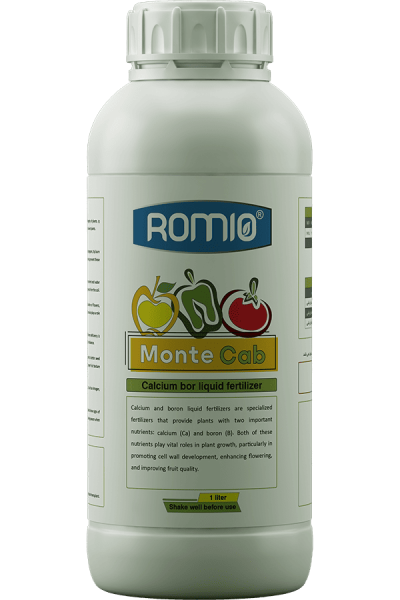 monte-cab
