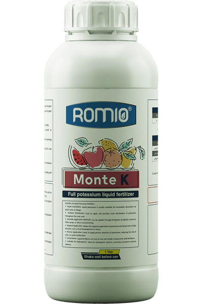 monte-k