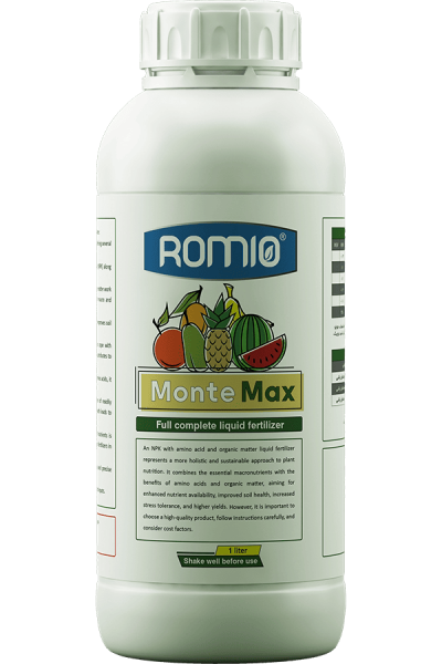 monte-max2