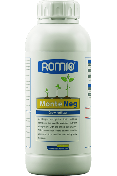 monte-neg