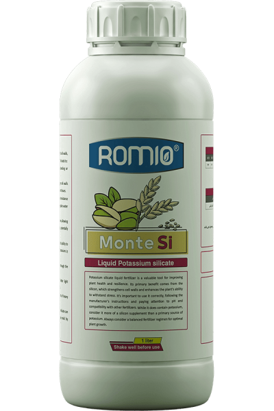 monte-si