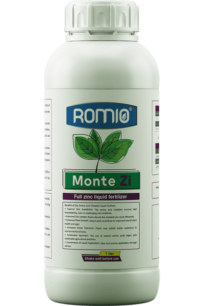 monte-zi